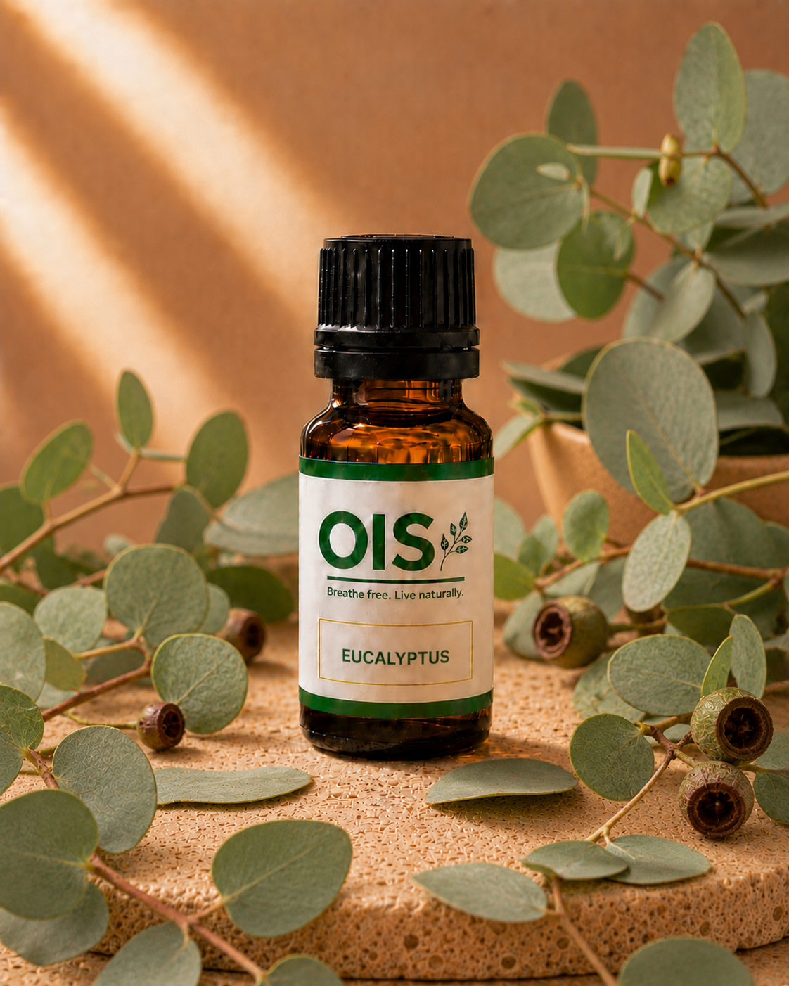 EUCALYPTUS