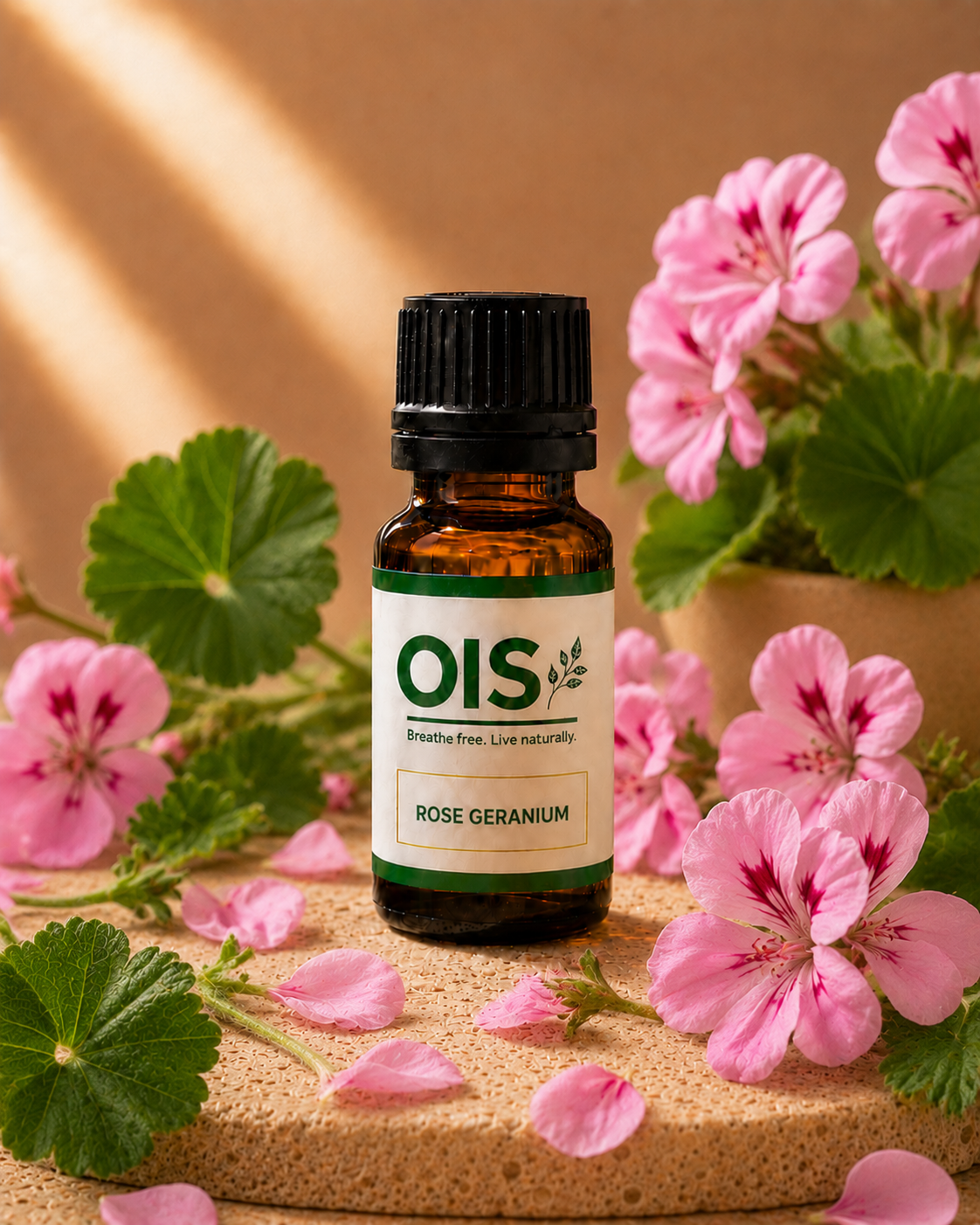 ROSE GERANIUM