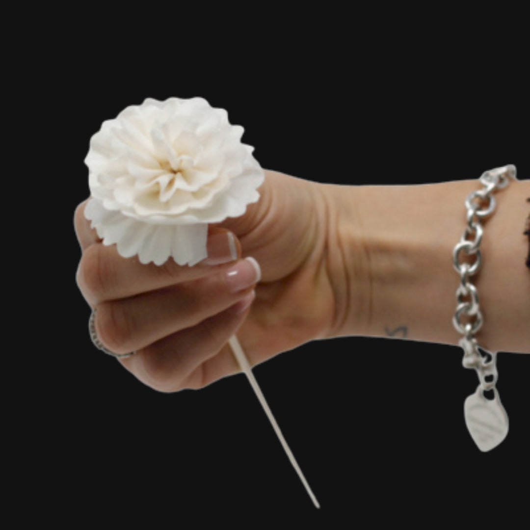 Natural Diffuser Flowers - Carnation on Reed