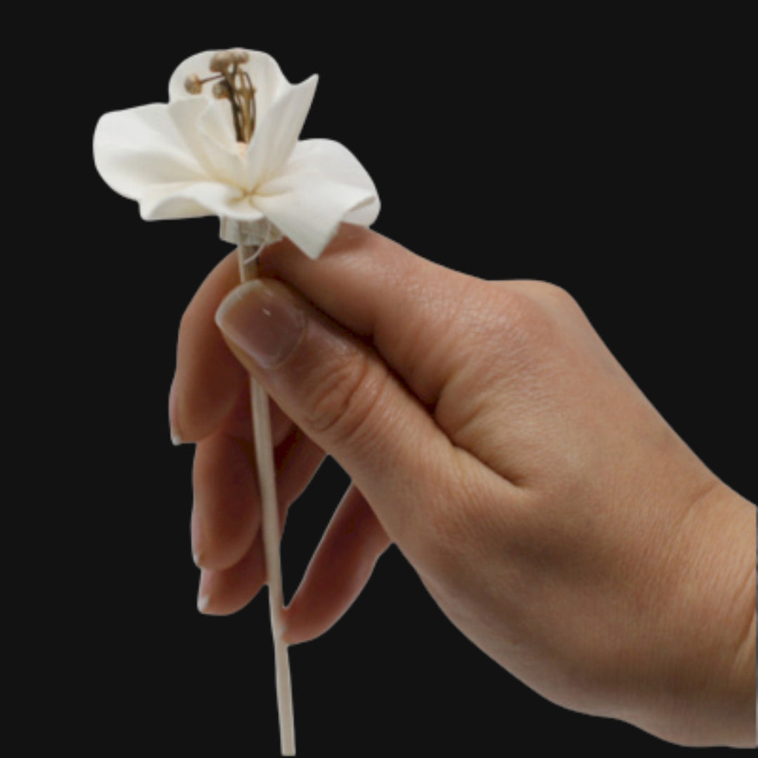 Natural Diffuser Flowers - Lily on Reed