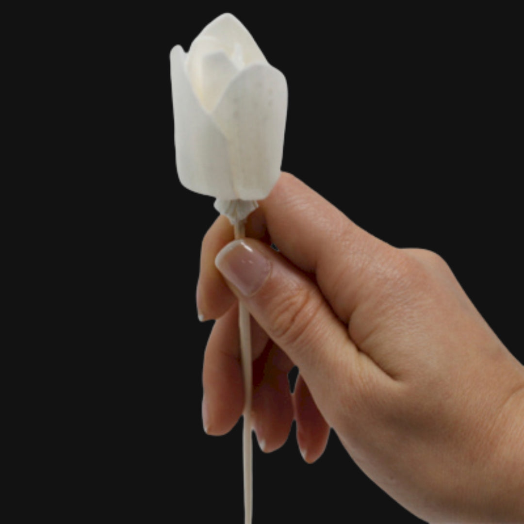 Natural Diffuser Flowers - Tulip on Reed