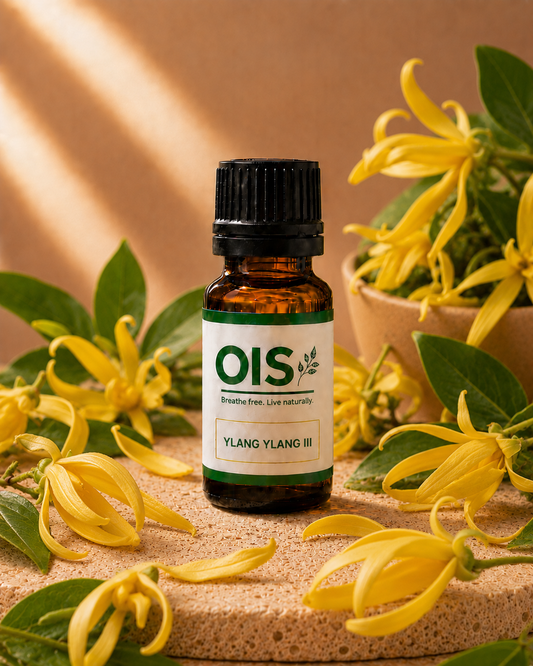 YLANG YLANG III